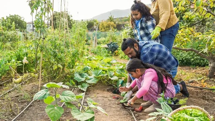 Ways To Involve Kids In Community Garden Projects