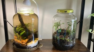 10-Minute Crafts for Kids: Easy DIY Projects Using Household Items