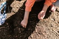 10 Reasons Gardening is Great for Kids' Mental Well-being