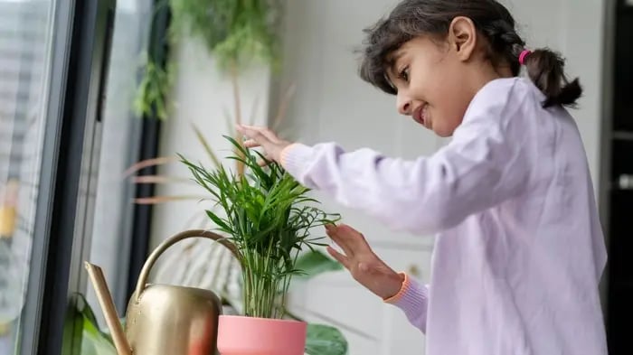 Environment Activity Ideas