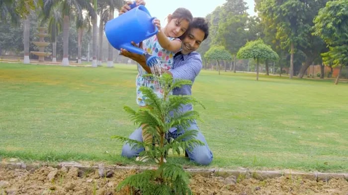 Environment Activity Ideas