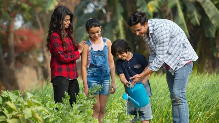 Environment Activity Ideas