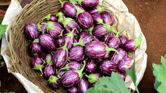 Fiber Rich Vegetables In India