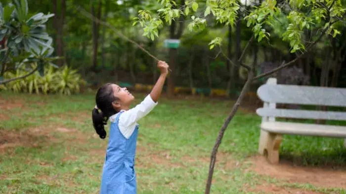 Indian Kids Playing In Sun