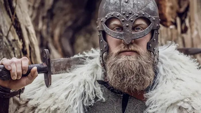 Viking Warrior With A Sword