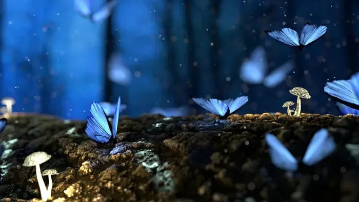 Blue Butterflies In Forest