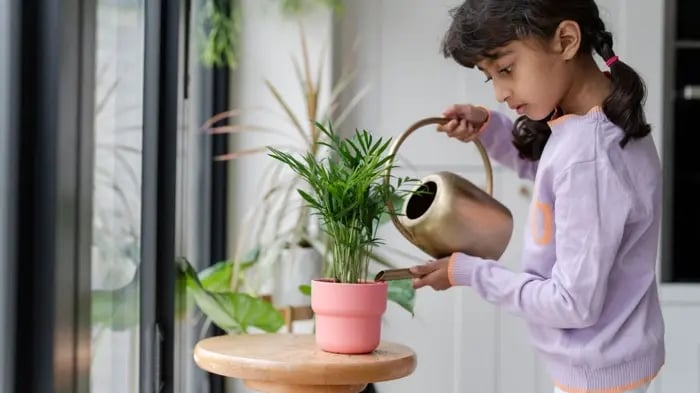 Ways To Save Water For Kids