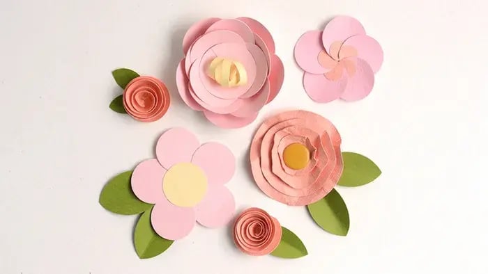 Colorful flowers