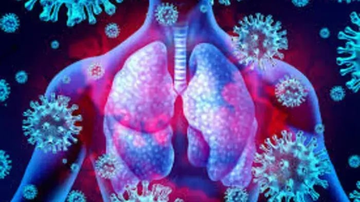 animated human organs