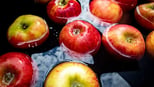 7-fun-and-surprising-facts-for-kids-that-make-learning-exciting