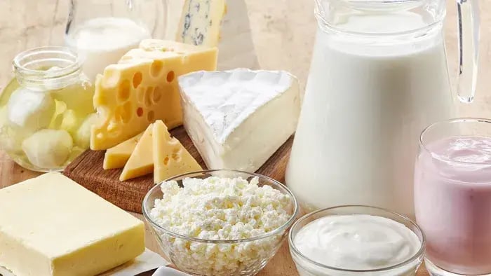 dairy products