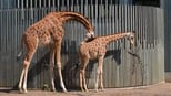 7-interesting-facts-for-kids-that-will-spark-curiosity-instantly
