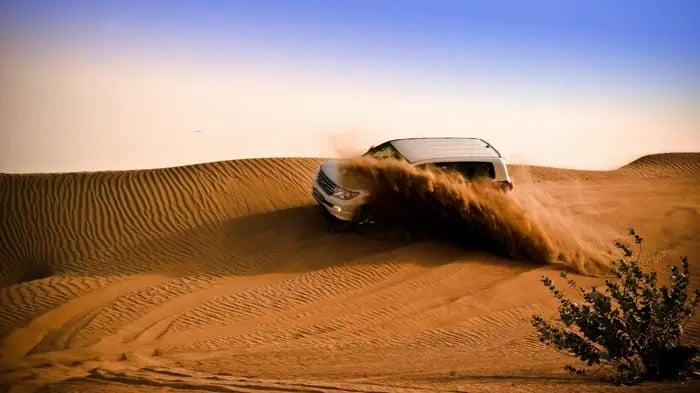 Desert Safari