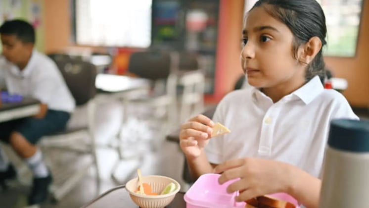 7 Nutritious And Healthy Homemade Meals for Every Day Tiffin Packing