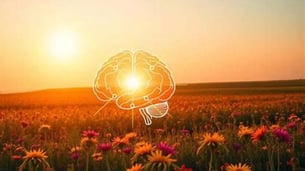 sunshine in a field