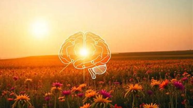 7 Reasons Why Vitamin D is Essential for Your Kids Growth