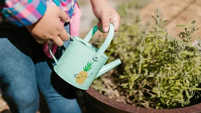 Watering Plants