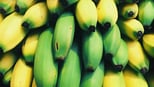 7-summer-fruits-in-india:-teach-your-child-about-regional-produce