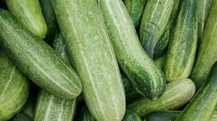 7 Summer Fruits In India: Teach Your Child About Regional Produce