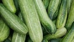 7-summer-fruits-in-india:-teach-your-child-about-regional-produce