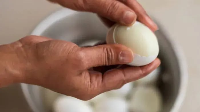 High-Protein Indian Foods Kids and Teens