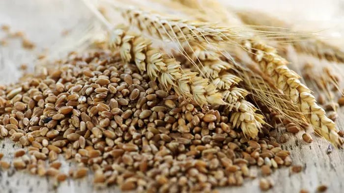 Whole Wheat