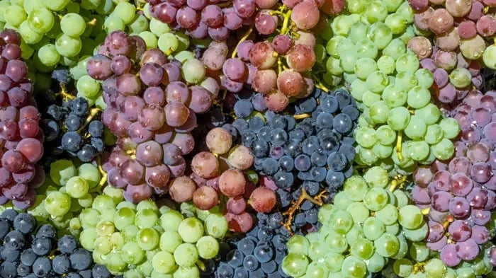 Is Grapes Healthy