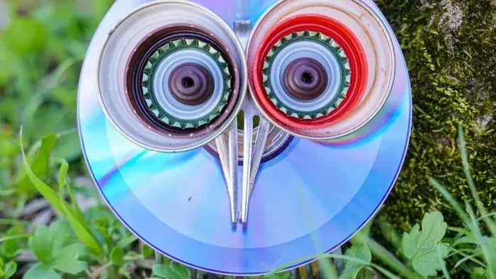 Painted DVD looking like an owl