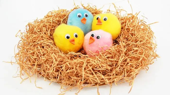 Shavings nest with cotton birds