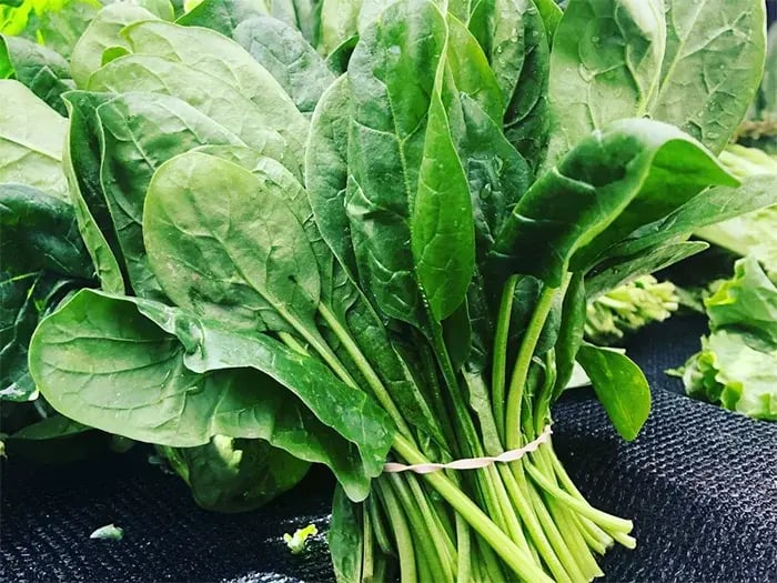 food-for-vitamin-e