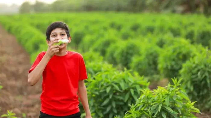 indian kids eating