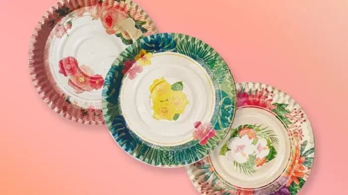 Colorful Paper Plates