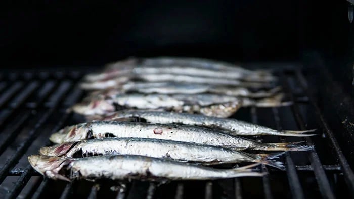 sardines