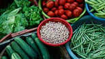 comprehensive-food-and-nutrition-chart-for-growing-children