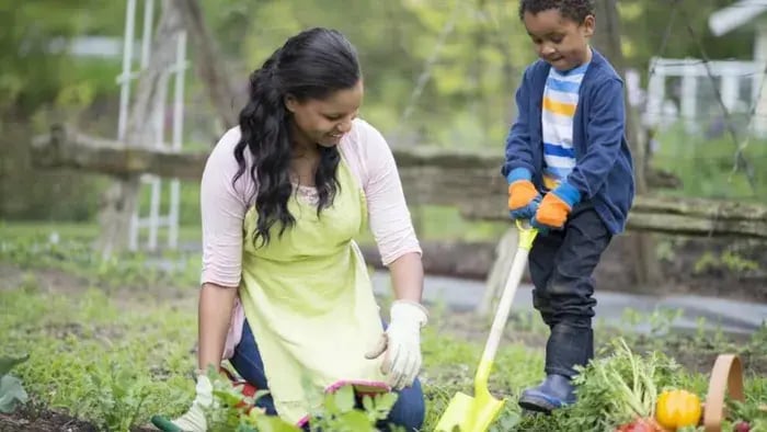 Teach Kitchen Gardening
