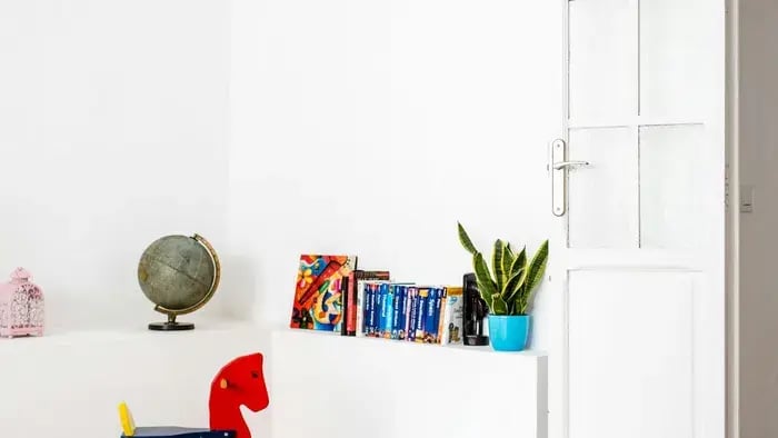 Toy and books shelf