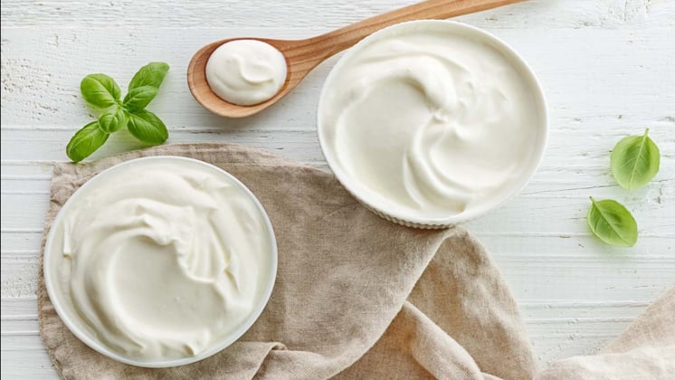 Dahi Or Greek Yogurt: Which Is Better For Your Child's Diet?