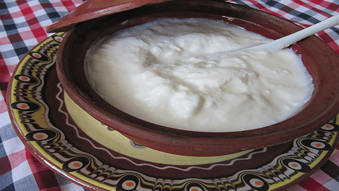 differences-between-dahi-and-greek-yogurt