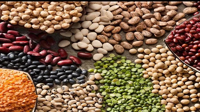 Benefits of High Protein Pulses in Your Kids’ Diet