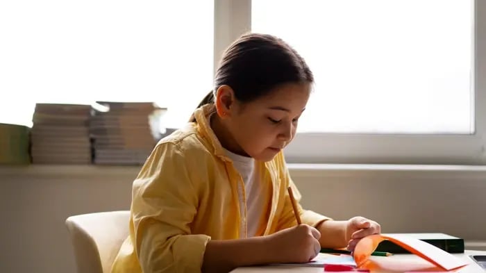 Indian Girl Child Dressed Vibrantly