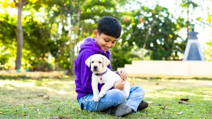 Benefits Of Volunteering As A Family