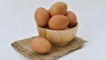 fat-rich-foods:-what-parents-should-know-for-balanced-nutrition