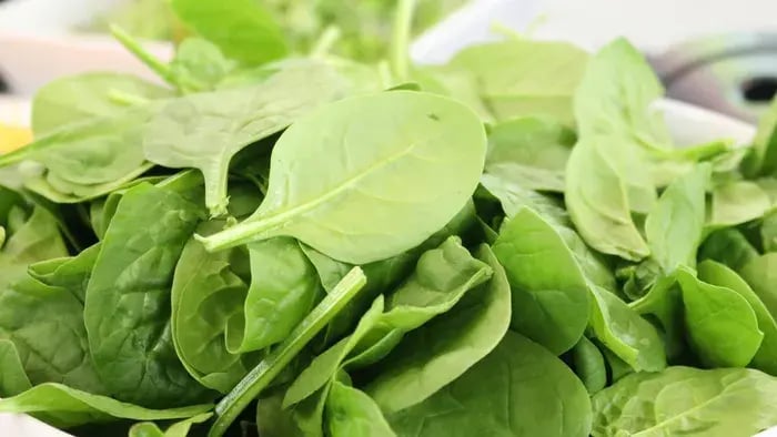 Spinach Leaves In A Bowl