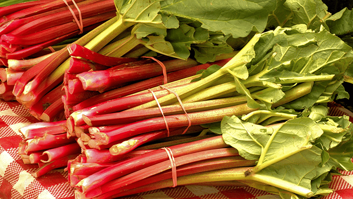 you-can-hear-rhubarb-growing