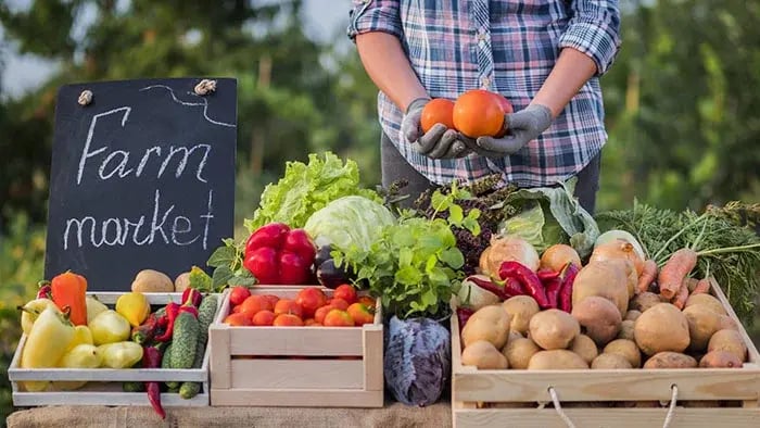 From Farm To Fork The Importance Of Whole Foods In A Healthy Diet - Understanding The Importance Of Whole Foods In A Healthy Diet