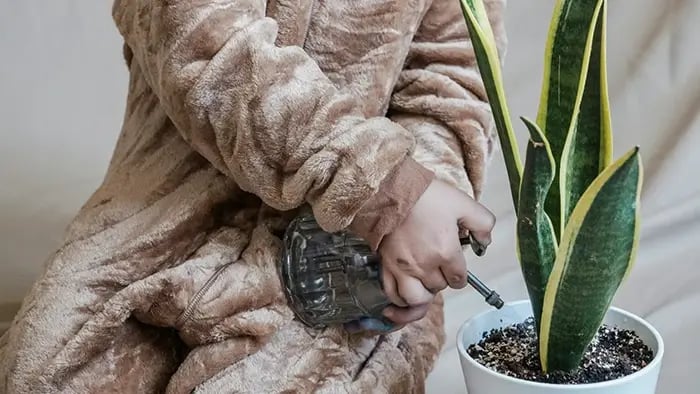 Different Benefits Of Gardening