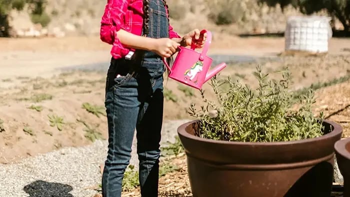 Why Gardening
