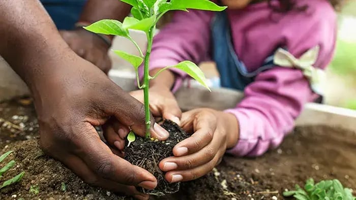 Gardening as a tool for teaching patience to kids 