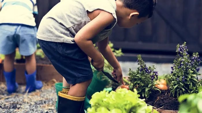 A Boy Learning To Garden