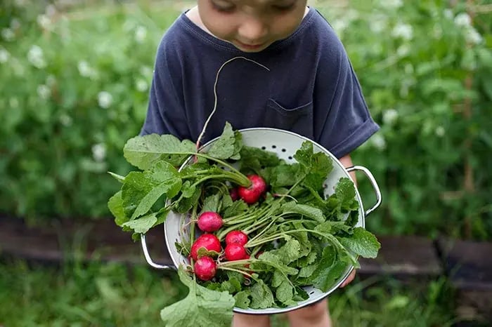 here-s-why-your-kid-s-diet-should-include-vitamin-b2-5